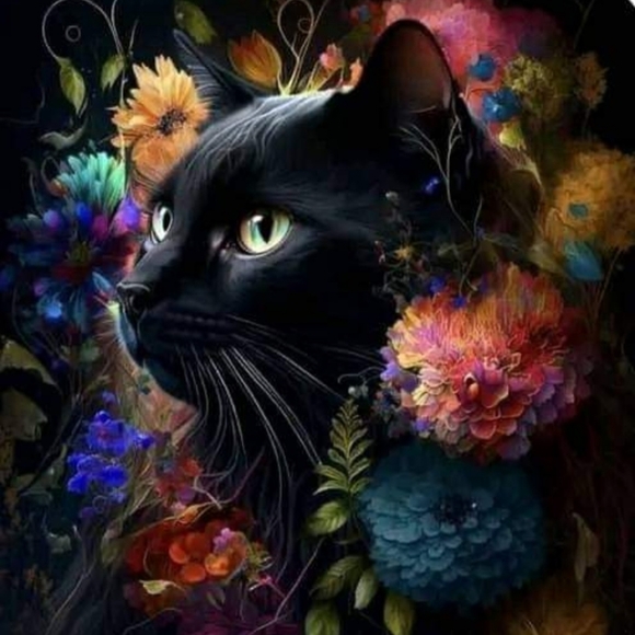 Meet your Posher, Ilsa - Picture 10 of 11